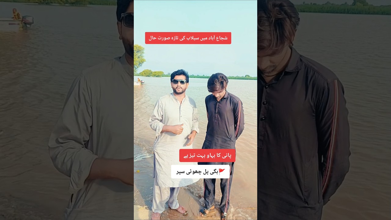 shujabad update falad.. 