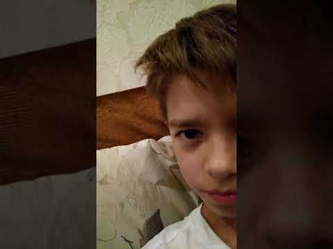 прохождение игры пес 2011, плохие результаты и жеребьёвка лиги чемпионов