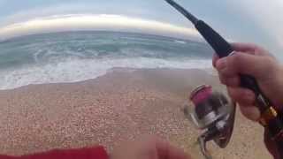 Seabass on Yo zuri Magpopper 105mm