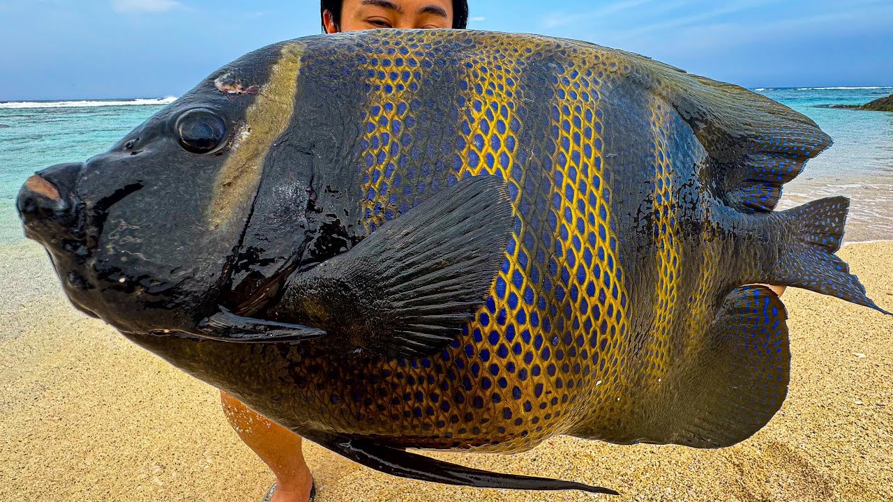Caught a Fish That Definitely Looks Poisonous, So Let's Eat