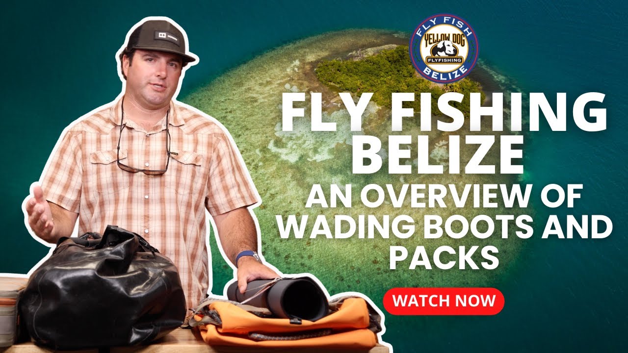 Selecting Wading Boots and Packs for Fly Fishing in Belize 