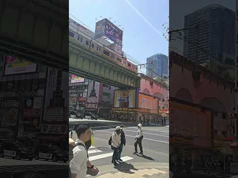 Akihabara (Electric Town) In The Afternoon