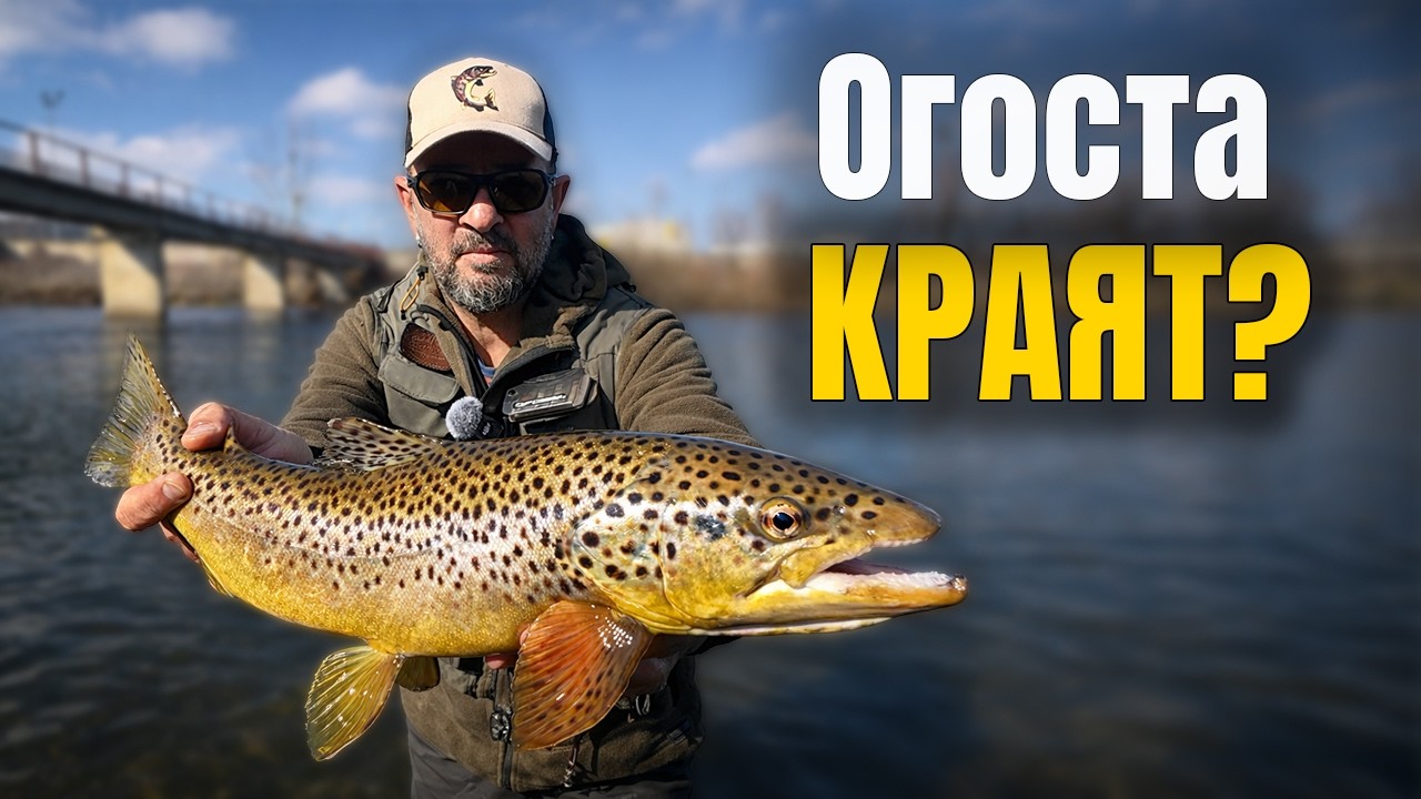 Гигантските пъстърви на Огоста – още ли са там? Необичайната примамка…