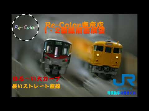 ｢専属執事 Model Front view #10｣Nゲージ 前面展望 レンタルレイアウト Re-Color(リカラー)東京店 1・2番線前面展望