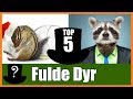 TOP 5 Mærkelige Historier Om Fulde Dyr