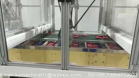 automatic robot pick up system connect with cartoning machine