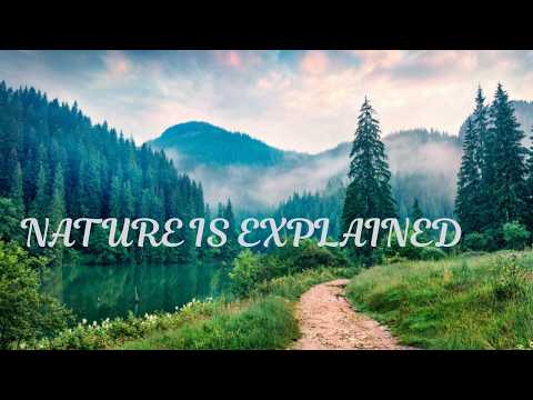 Trending Romantic Hindi Songs 2026 | Love Mashup | Bollywood Hits Nonstop ❤️