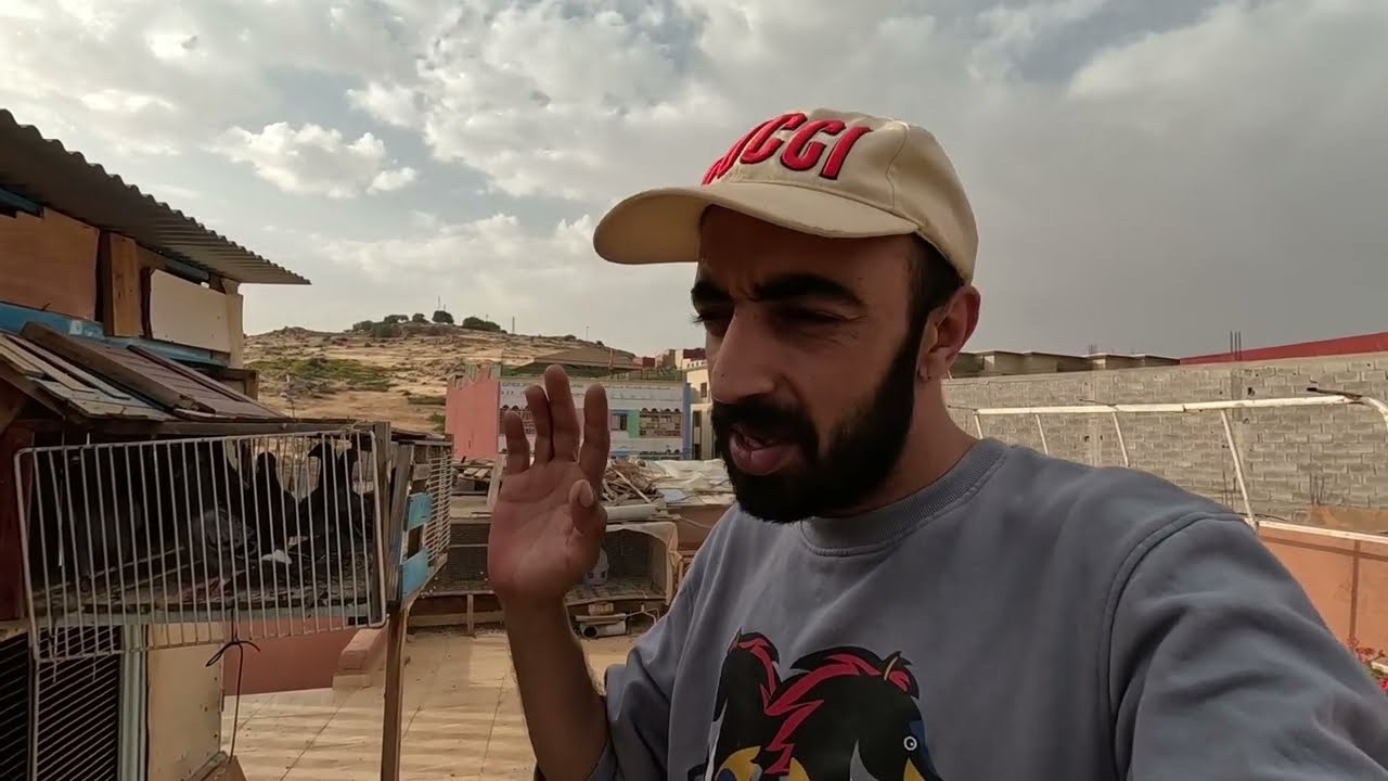 أسباب مرض الحمام الزاجل 🫡