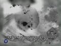 Targeting of a Popular Resistance Committee Rocket Launching Site at El-Atatra