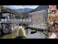 Hakone Glass Forest Museum рџ Cute And Beautiful рџЊІ Heals Your Injured Heart в ђпёЏ Hakone Glass Forest Museum рџ Cute And Beautiful рџЊІ Heals Your Injured Heart в ђпёЏ