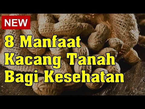 Video: Apa gunanya Kacang Jawa?