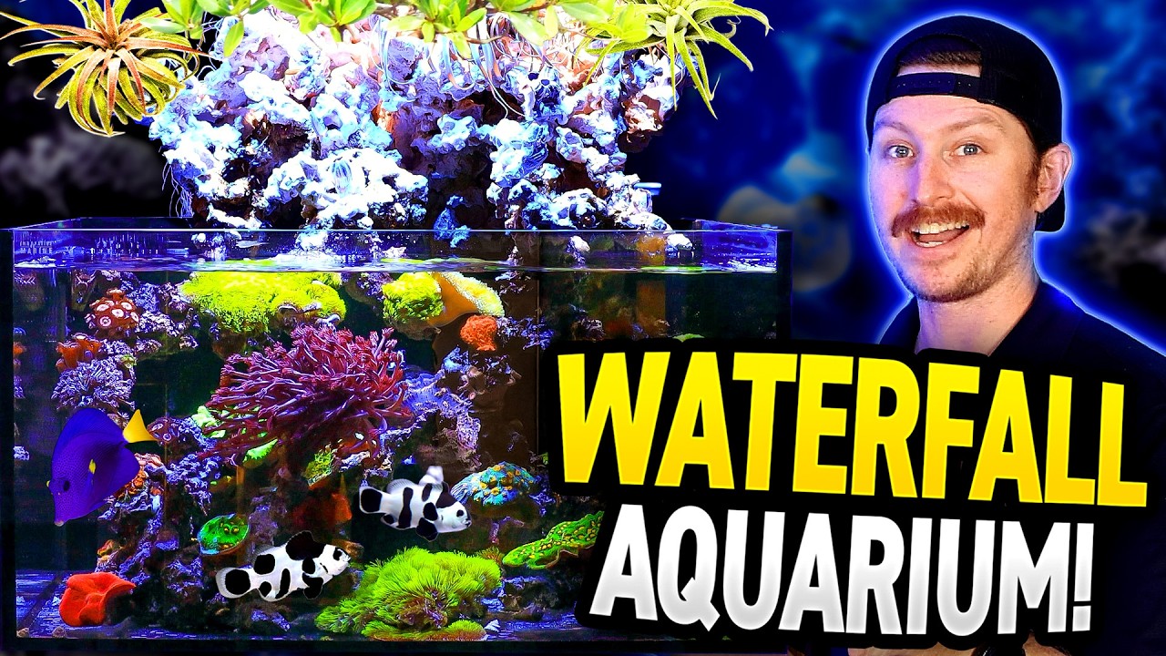 This WATERFALL Aquarium Has Completely Transformed!
