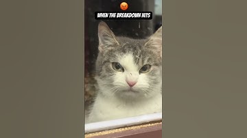 When the Breakdown Hits!!  #nofu #metal #metalcore #breakdowns #nofuture  #chicago #newmusic