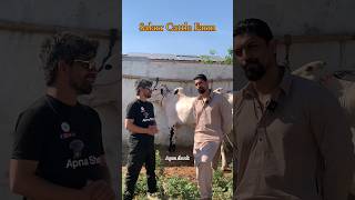 #salarcattlefarm #apnashook full vlog on YouTube  #viral #season26