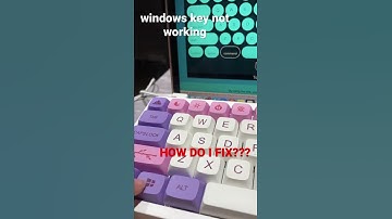 windows key not working