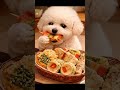 Happy New Year💛 Five-Color Jeon ASMR🧧 새해 복 많이 받으세요💛 오색전 ASMR あけましておめでとうございます 五色チヂミ ASMR 🐾 #cute