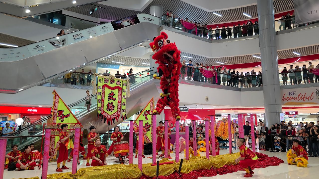 新加坡文揚龍獅运动协會 Singapore Wen Yang Dragon & Lion on High Poles Performances @ Causeway Point