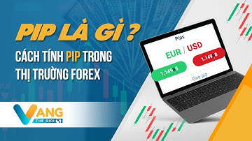 Pip là gì? Cách tính pip trong thị trường forex| Vàng Thế Giới