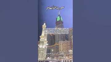 سورة الأنعام ٣٦ #quran #قران #قرآن #اكسبلور #قرآن_كريم #قرأن #قران_كريم