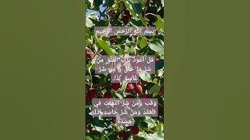 #اسلام #سورة #الفلق #surah #al #falaq