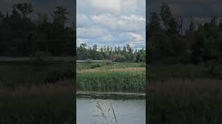 Цапля #music #цапля #село #деревня #россия #релакс #relax
