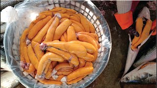 烏魚切割技巧-烏魚子製作,烏魚子一口酥/Mullet Cutting Skills-Mullet Roe Making ,Grilled Mullet Roe-台灣街頭美食-台灣傳統美食