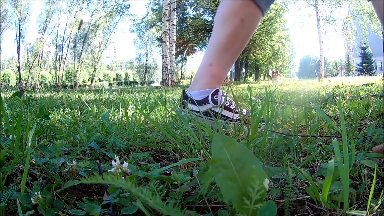 Нептун ищет1 - YouTube