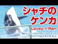シャチのケンカ【2021年4月26日】Orca performance, Kamogawa Sea World, Japan