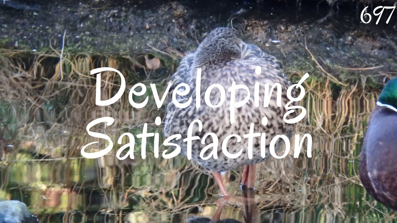 Developing Satisfaction
