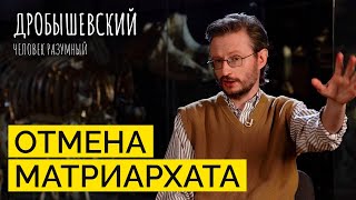 Матриархата не было. А что тогда было? // Дробышевский. Человек разумный