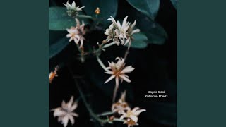 Download Lagu PlancK (Basis Change Remix) MP3