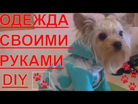 Одежда для собак. DIY. Своими руками.Часть 1