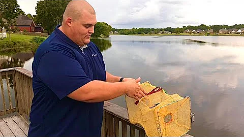 Reviewing The Best Live Bait Trap EVER!!! (What did it catch?!?)