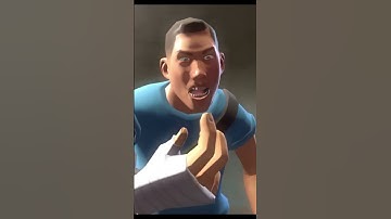 Scout