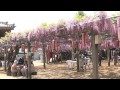 福岡県宗像市　藤の浄光寺  movie16