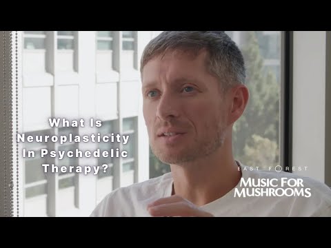Dr. Robin Carhart-Harris: What Is Neuroplasticity In Psychedelic Therapy?