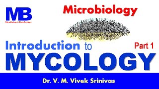 INTRODUCTION TO MYCOLOGY | Microbiology | Vivek Srinivas | #Mycology #Microbiology #FungalMorphology