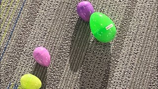 'Eggstra' special Easter egg hunt in Lancaster County held for children with disabilities