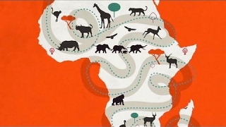 A Changing Africa - African Wildlife Foundation