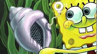 The Conch Knows All