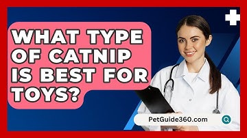 What Type Of Catnip Is Best For Toys? - PetGuide360.com