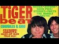 Then  now  tiger beat teen idols of the 1970s