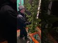 Пора завязывать с праздниками