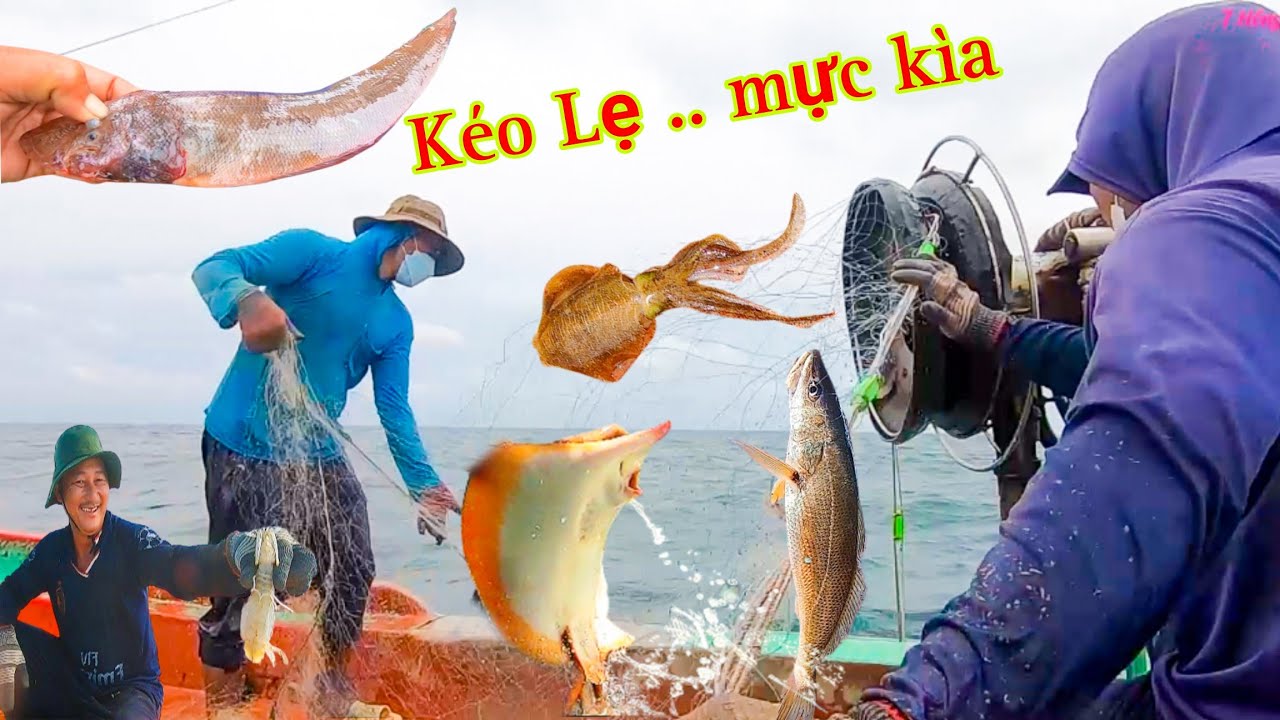 TRẢI NGHIỆM Nghề Lưới Mực_Ngư Dân Kéo Mực,Cá Dính Từng Chùm Nhìn Đã Con Mắt ||7 Hồng Vlog