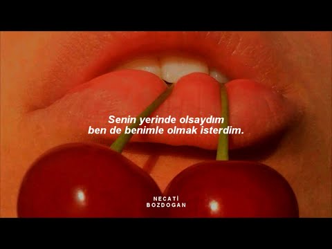 Selena Gomez - Fetish (Türkçe Çeviri)