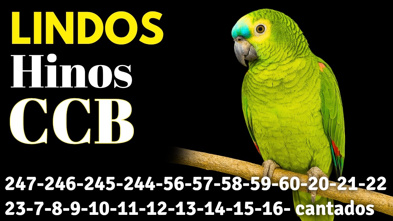 HINOS CCB 247-246-245-244-56-57-58-59-60-20-21-22-23-7-8-9-10-11-12-13-14-15-16-17-18 cantados