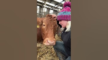 How do you feel being my best mate? #lovefarm #farming