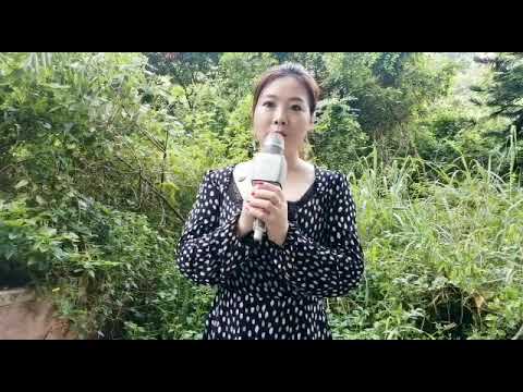 2020年8月30日小宜(朋友的歌)