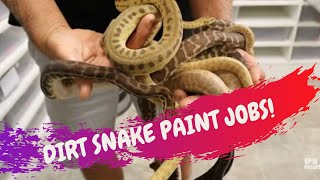 Famous DIRT SNAKE PAINT JOBS - CrittaCam Wealth