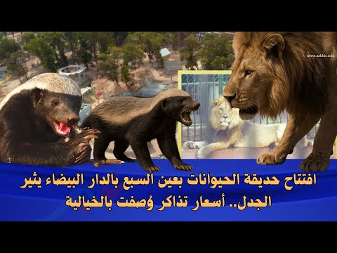 افتتاح حديقة الحيوانات بعين السبع بالدار البيضاء يثير الجدل أسعار تذاكر و صفت بالخيالية